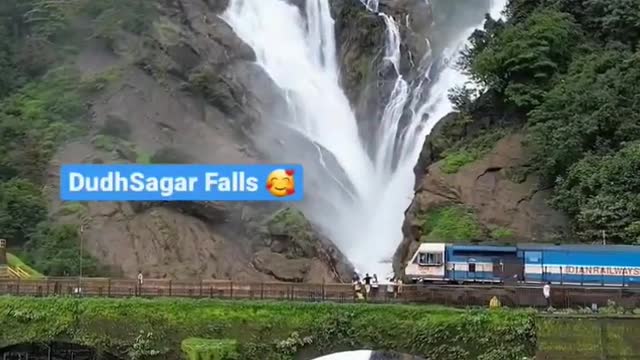 Extremely Spectacular view of Dudhsagar Fall #goa #india #shorts #youtubeshorts #trending #short