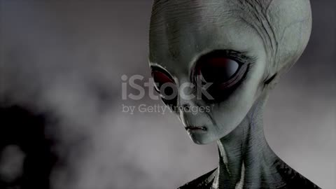 161