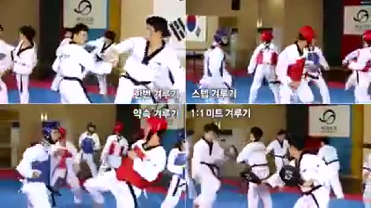 Taekwondo