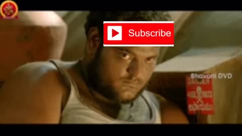 Funny videos