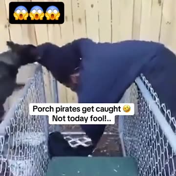 TEMU brand DEI cummulla voter caught by crown act