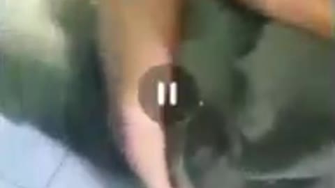 Mas um caso, cadê a mídia?