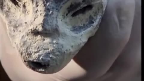 ATTENTION - Closer look into the #Alien Bodies in Mexico