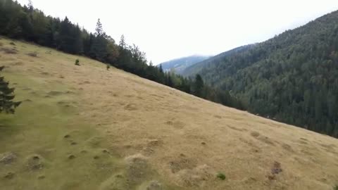 Natural scenery
