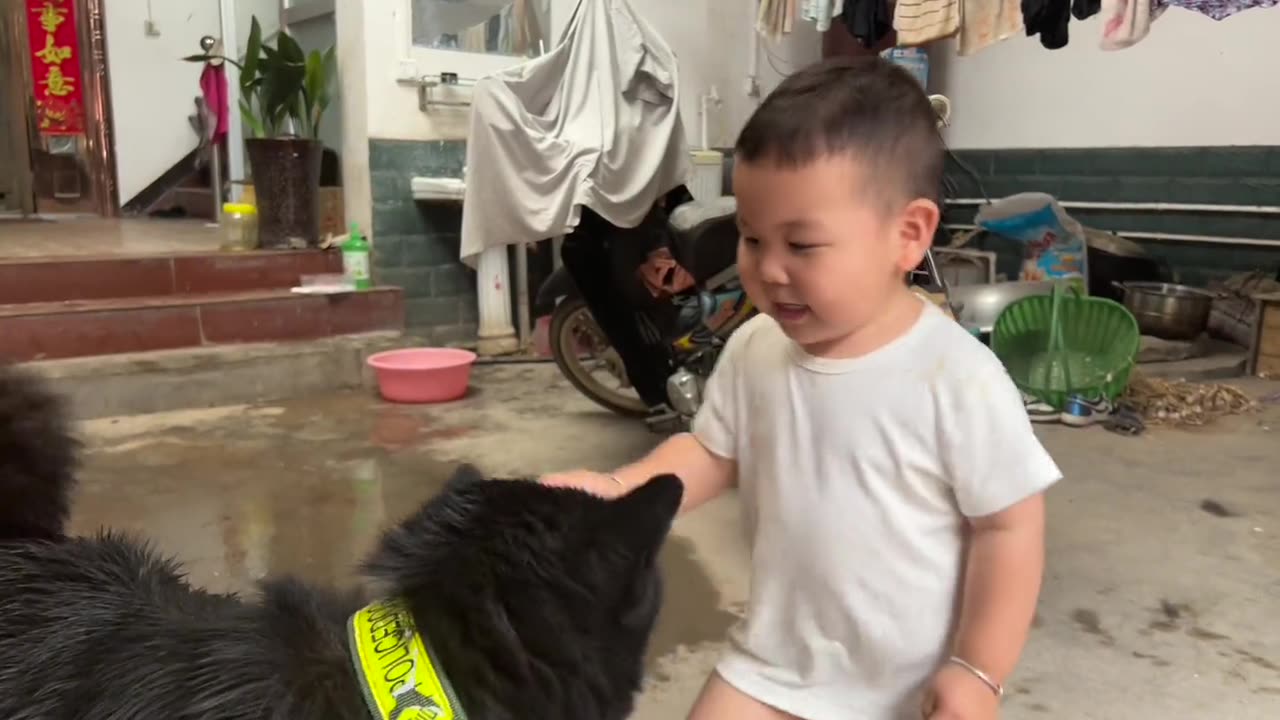 Touch the dog carefully and like it carefully