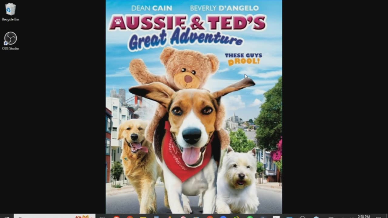 Aussie and Ted's Great Adventure Review