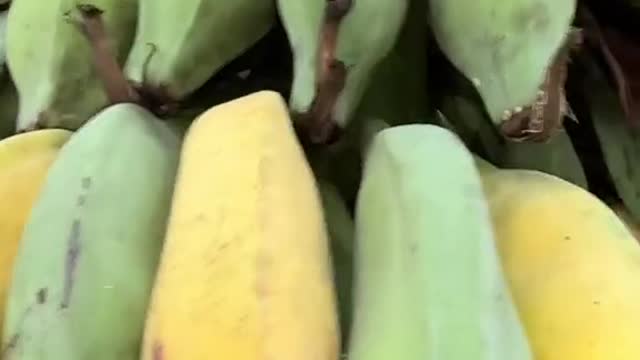 Have you ever seen a seeded banana ?