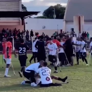 Goalie fights one legged players