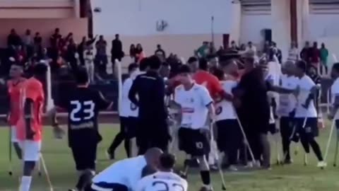 Goalie fights one legged players