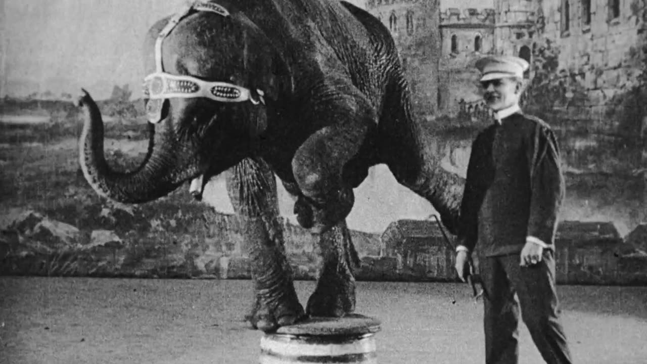 "Jumbo, The Trained Elephant" (1919 Original Black & White Film)