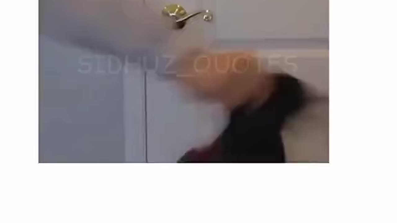 Funny video - part 3