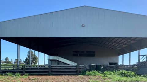 Shearing Shed design