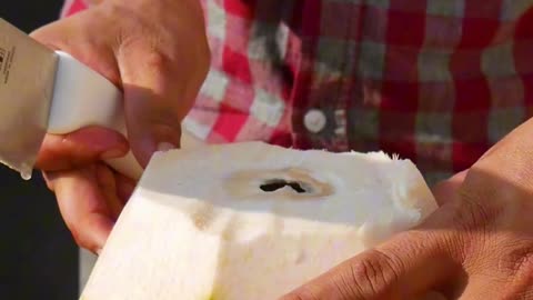fantastic coconut peeling style