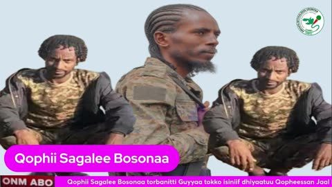 Qophii sagalee Bosonaa ONM-ABO Onkoloolessa 19-2024 itti dhiyaadhaa!