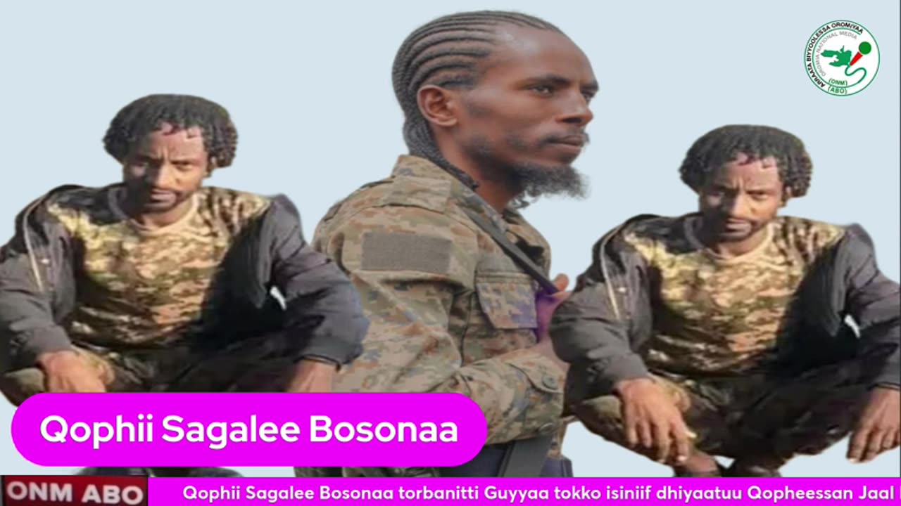 Qophii sagalee Bosonaa ONM-ABO Onkoloolessa 19-2024 itti dhiyaadhaa!