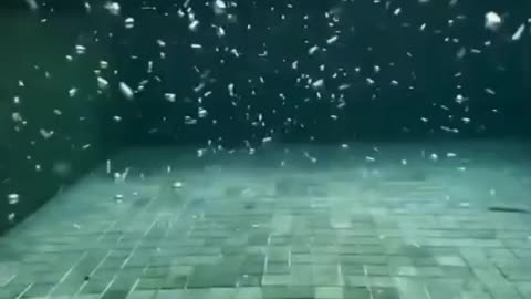 Trading and Swimming