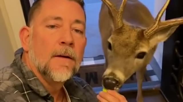 The friend chews gratefully