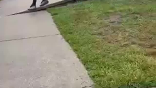Fight