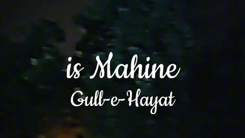 Gull-e-Hayat