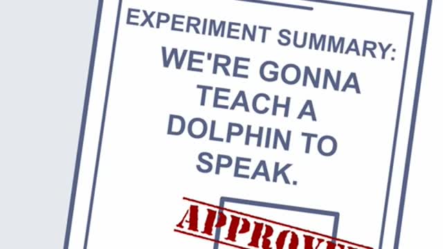 Rooster Teeth Animated Adventures - The Dolphin Experiment_Cut