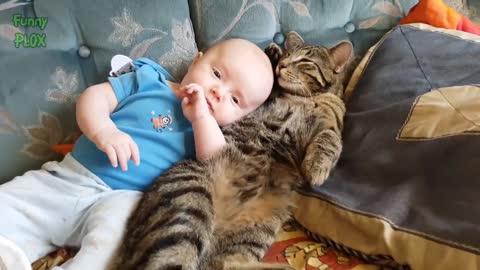 Cats and Dogs Meeting Babies for the First Time