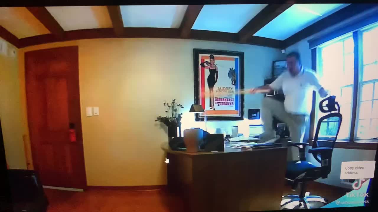Haha this guy got scared from a squirrel during his business meeting🤣