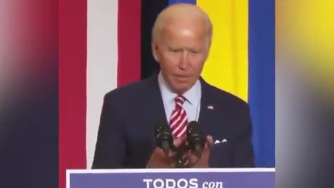 Ariana Grande, Lizzo, and Many Other Celebrity Celebrate Joe Biden Win