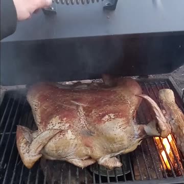 Smoking a turkey 🦃