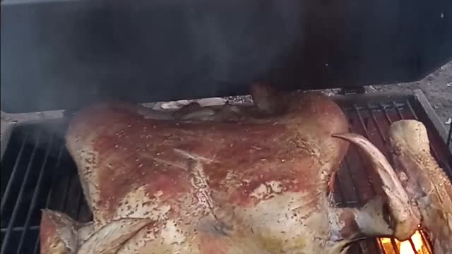 Smoking a turkey 🦃