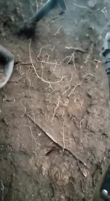 Yakut soldiers reload a machine gun in a