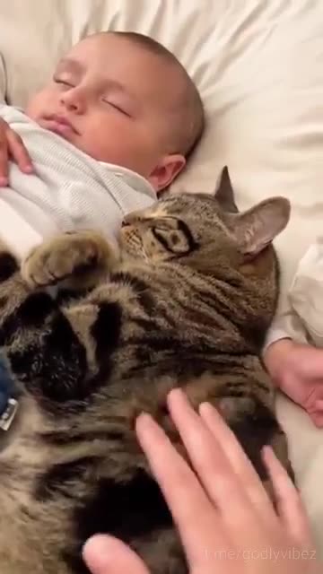 Someone doesn’t want to get out of bed today! 😍