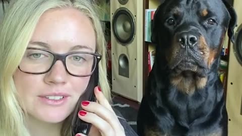 Using our dog's favourite words on a call...