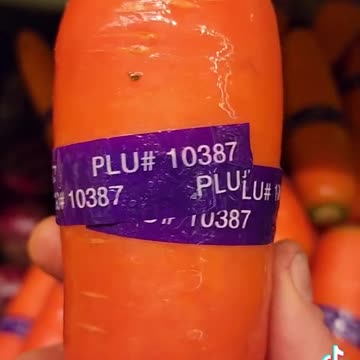 Gigantic carrots- GMO ?