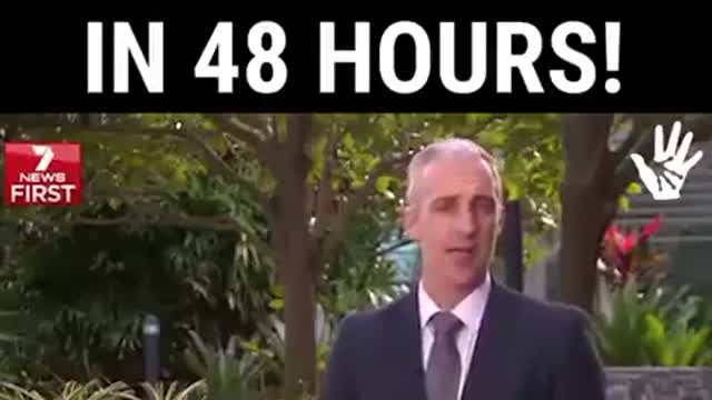 48시간내 암을 없앤다는 열매 : Blushwood