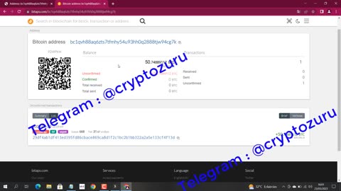 How to Flash Bitcoin in 2023 / Zuru Fake Bitcoin Sender (RBF) Live Demo Video Proof