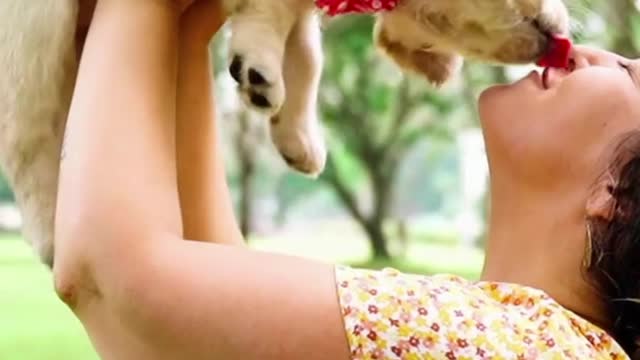 Petting your dog does this...