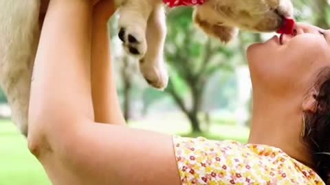 Petting your dog does this...