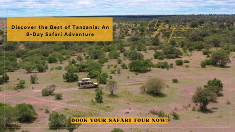 Discover the Best of Tanzania: An 8 - Day Safari Adventure