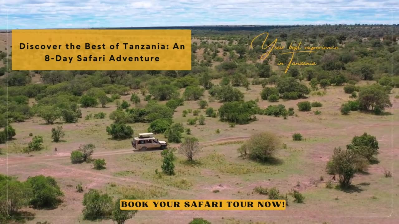 Discover the Best of Tanzania: An 8 - Day Safari Adventure