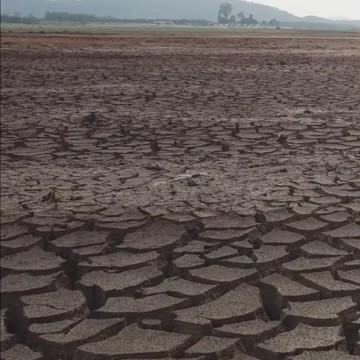 How You Can Take Advantage Of Home Gardening And Nourish Your Body