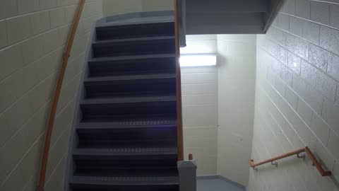 3878FHOB03Stair11_2021-01-05_01h40min00s310ms.mp4