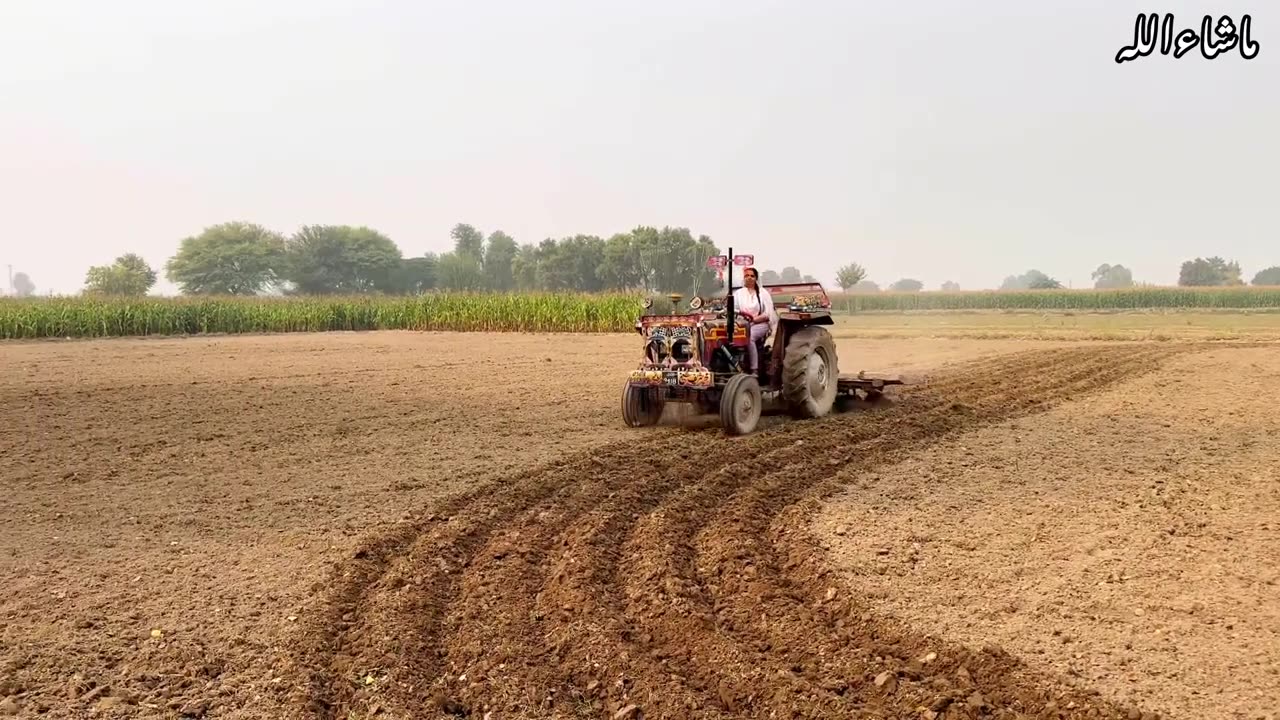 Village Desi Girl Tractor Driver _ Village life vlog