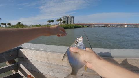 Fishing NSB, FLORIDA