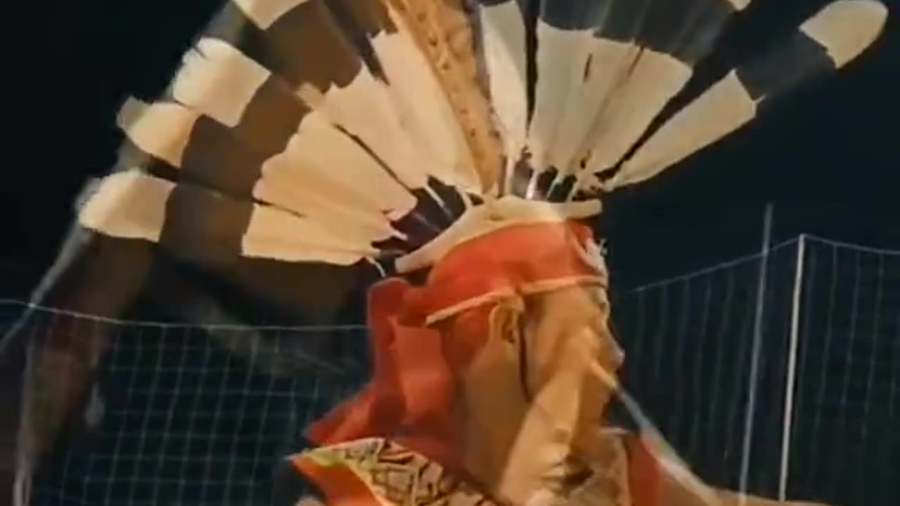 Traditional dance from Kalimantan