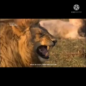 Comedy video scenes 😂😂😛😛