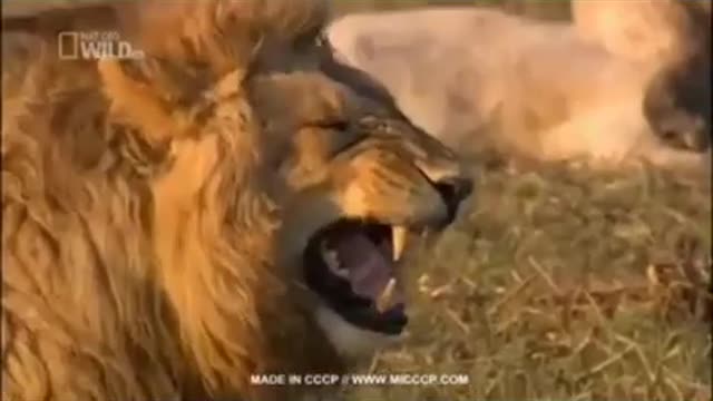 Comedy video scenes 😂😂😛😛