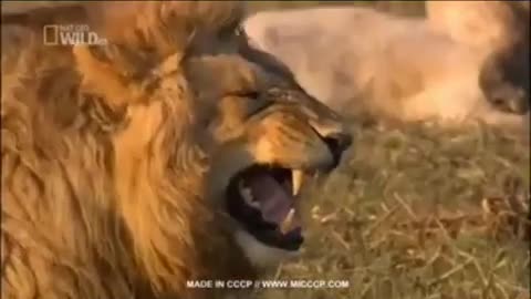 Comedy video scenes 😂😂😛😛