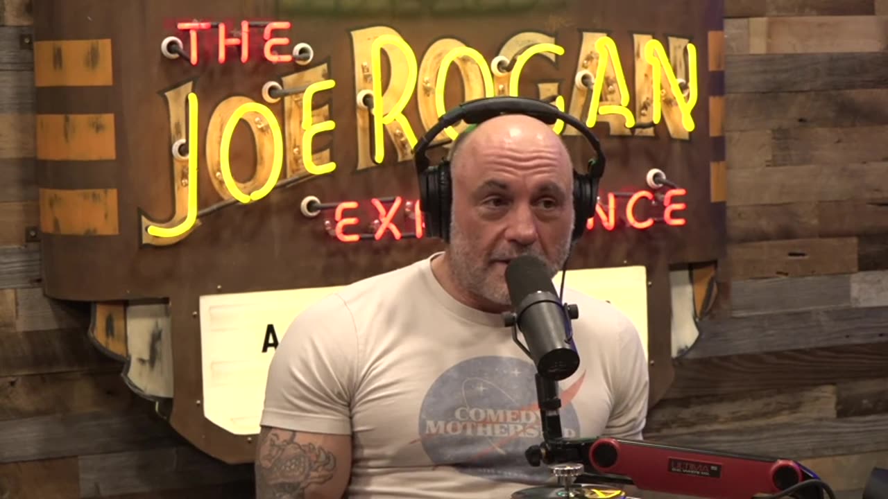 Joe Rogan Experience #2239 - Derek, More Plates More Dates 12-5-24