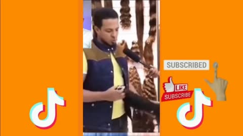 tiktok videos