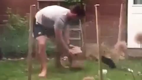 This rabbit knows how to mess with hoomans